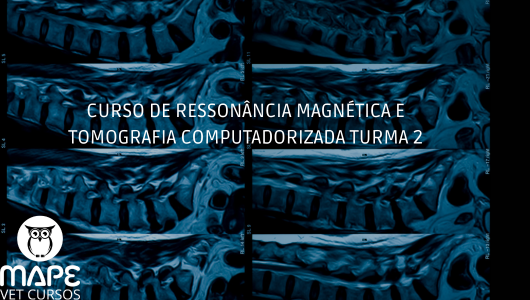 CURSO DE RESSONÂNCIA MAGNÉTICA E TOMOGRAFIA COMPUTADORIZADA TURMA 2